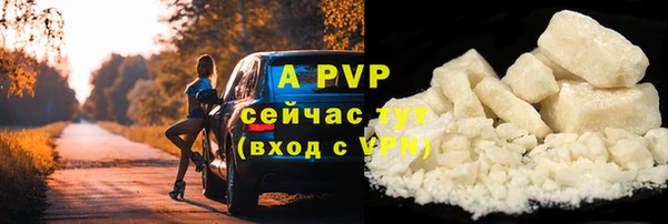 стаф Майский