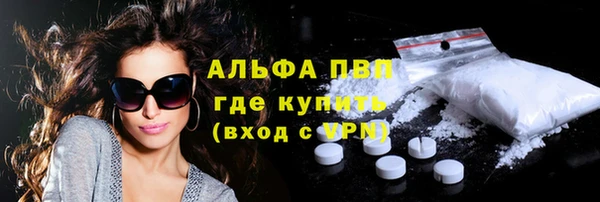 стаф Майский