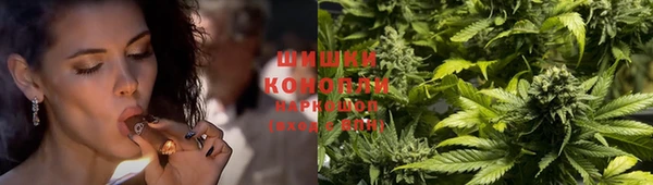 стаф Майский