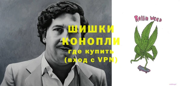 гидра Покачи