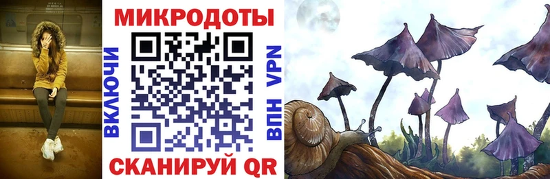 Псилоцибиновые грибы GOLDEN TEACHER Усмань